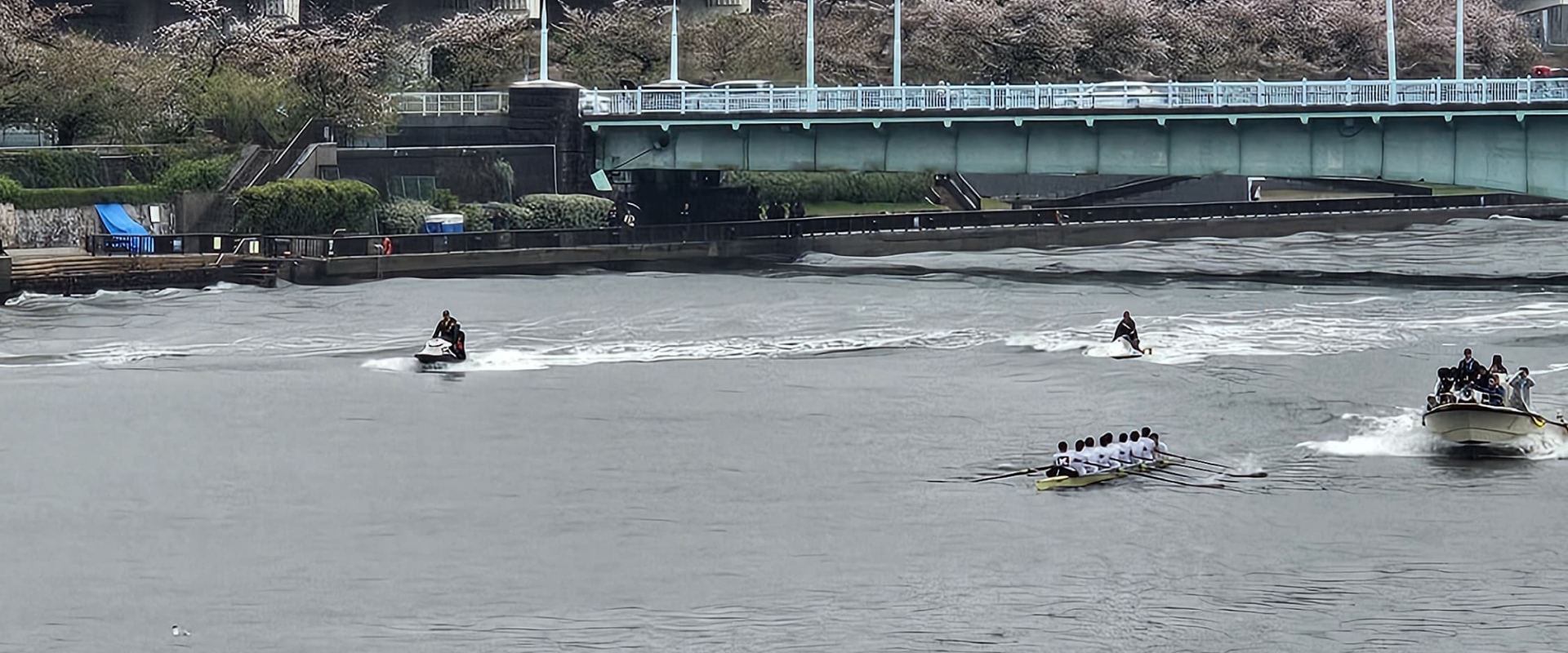 japanese regatta