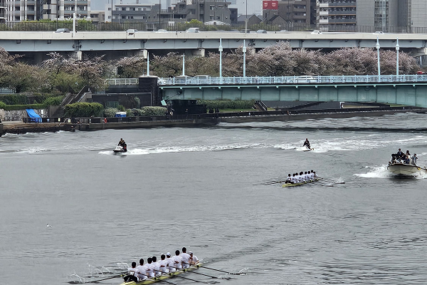 japanese regatta